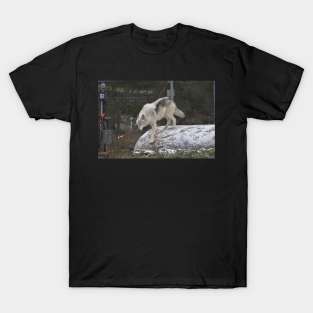 Wolf T-Shirt